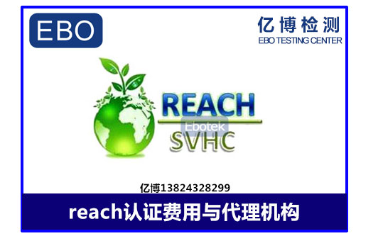 reach费用与代理机构